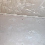 �����, 61 ���, ������