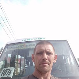  , 44, 