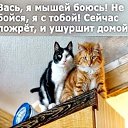    , -, 72  -  7  2025   »