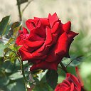 ���� Aleksandr, �����������, 64 ���� - ��������� 3 ���� 2025 � ������ ������ ��������