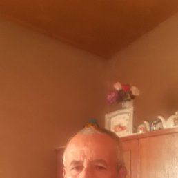 , 53, 