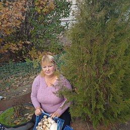 ����, 45 ���, �����