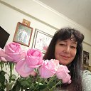 ���� ������, ����, 61 ��� - ��������� 2 ����� 2026