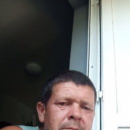, 44, 