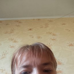  , , 41 