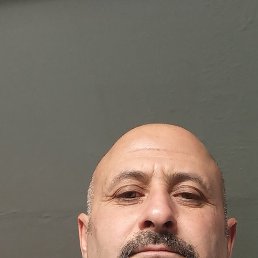 �����, 49 ���, ������