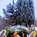 ���� �������, ������, 70 ��� - ��������� 12 ������ 2026 � ������ ���� ����������