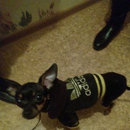 �����, ������-��-����, 64 ����