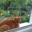 ���� �����, �����, 52 ���� - ��������� 27 ���� 2024