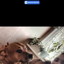 ���� ���������, �����-���������, 30 ��� - ��������� 14 ������� 2023