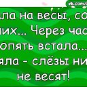 ���� �������, �����-���������, 71 ��� - ��������� 16 ���� 2024 � ������ ������ ��������