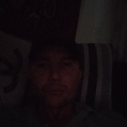 , 41, 