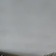 ����, 25 ���, ������