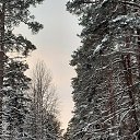 ���� �����, �����-��������� - ��������� 7 ������ 2026 � ������ ���� ����������