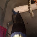 ���� ����, ������, 60 ��� - ��������� 29 ������ 2025 � ������ ���� ����������