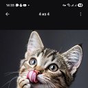 ���� ����, �����-���������, 39 ��� - ��������� 21 ���� 2026 � ������ ���� ����������