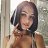 ���� Sv(e)ta �kstazi, ������ - ��������� 14 ������� 2025