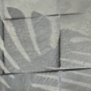 ������, 19 ���, �������