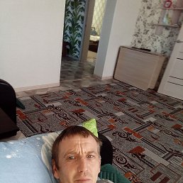 ����, 41 ���, ���������