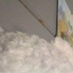 �������, �������, 46 ���