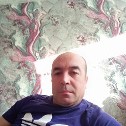 , 43, 