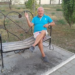 , 73 , 