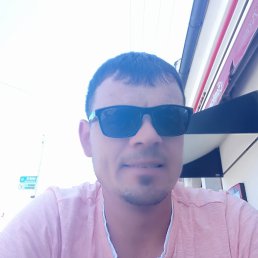 , 37, 