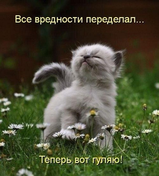 �����? ��, �� �������! - 8 ��� 2025 � 20:51