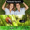 ���� �����, ������ ����� - ��������� 10 ��� 2026 � ������ ������ ��������