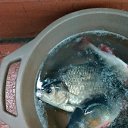 ���� �����, ���������, 41 ��� - ��������� 5 ���� 2026 � ������ ������ ��������