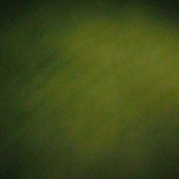 ���� �����, ������, 39 ��� - ��������� 5 �������� 2024