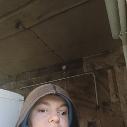 , 29, 