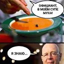 ���� �����, ������, 51 ��� - ��������� 21 ������� 2024 � ������ ������ ��������