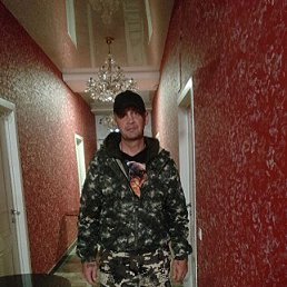 , 41, 