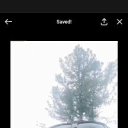 ���� Karim, �����������, 33 ���� - ��������� 14 ���� 2026