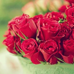 �����, �����-���������, 53 ����