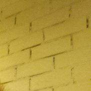 ������, 40 ���, �����