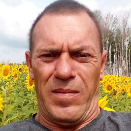 ���, ������, 47 ���