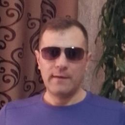 ������, ����, 46 ���