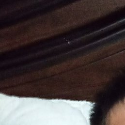 �����, ���������, 36 ���