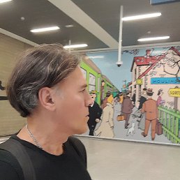 ����� ������, ��������, 44 ����