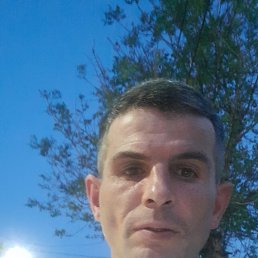 �������, 41 ���, ������