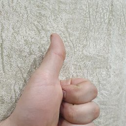 ����, ������, 39 ���