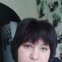 , 53, 