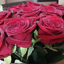 ���� ����, ����������, 49 ��� - ��������� 2 ������ 2025 � ������ ���� ����������