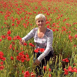 ������, �����������