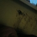 ���� �����, �����, 41 ��� - ��������� 6 ���� 2025 � ������ ���� ����������