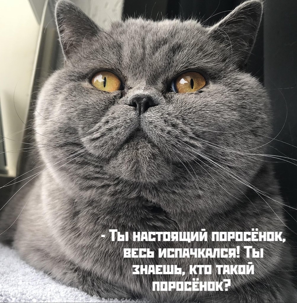       - 27  2025  16:36