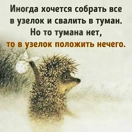 �������, ����, 40 ���