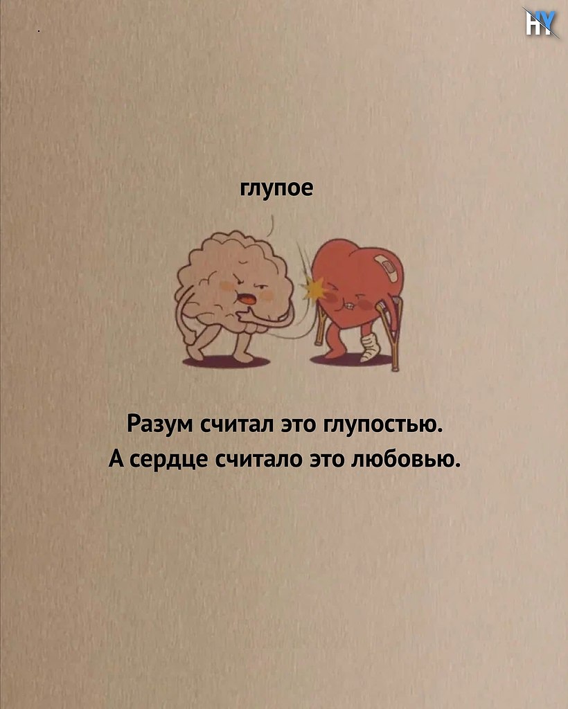  ,     ,     .    ... - 5